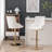 Swivel Upholstered Faux Leather Adjustable Height Counter Stool with Steel Frame-1022989697-1072607233