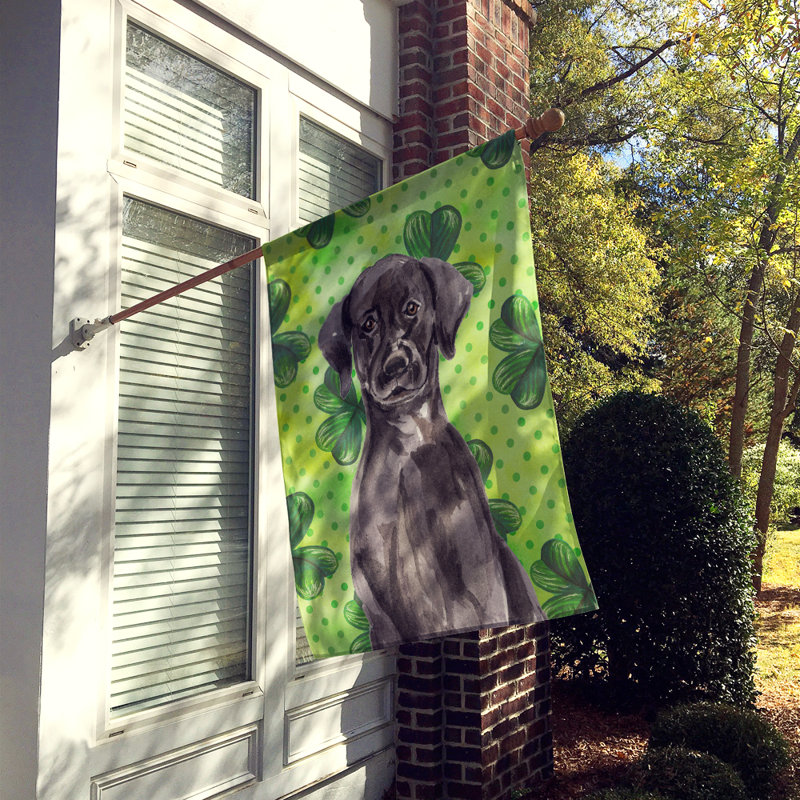 40 x 28 po en polyester à 2 côtés de la st patrick drapeau maison, Labrador noir