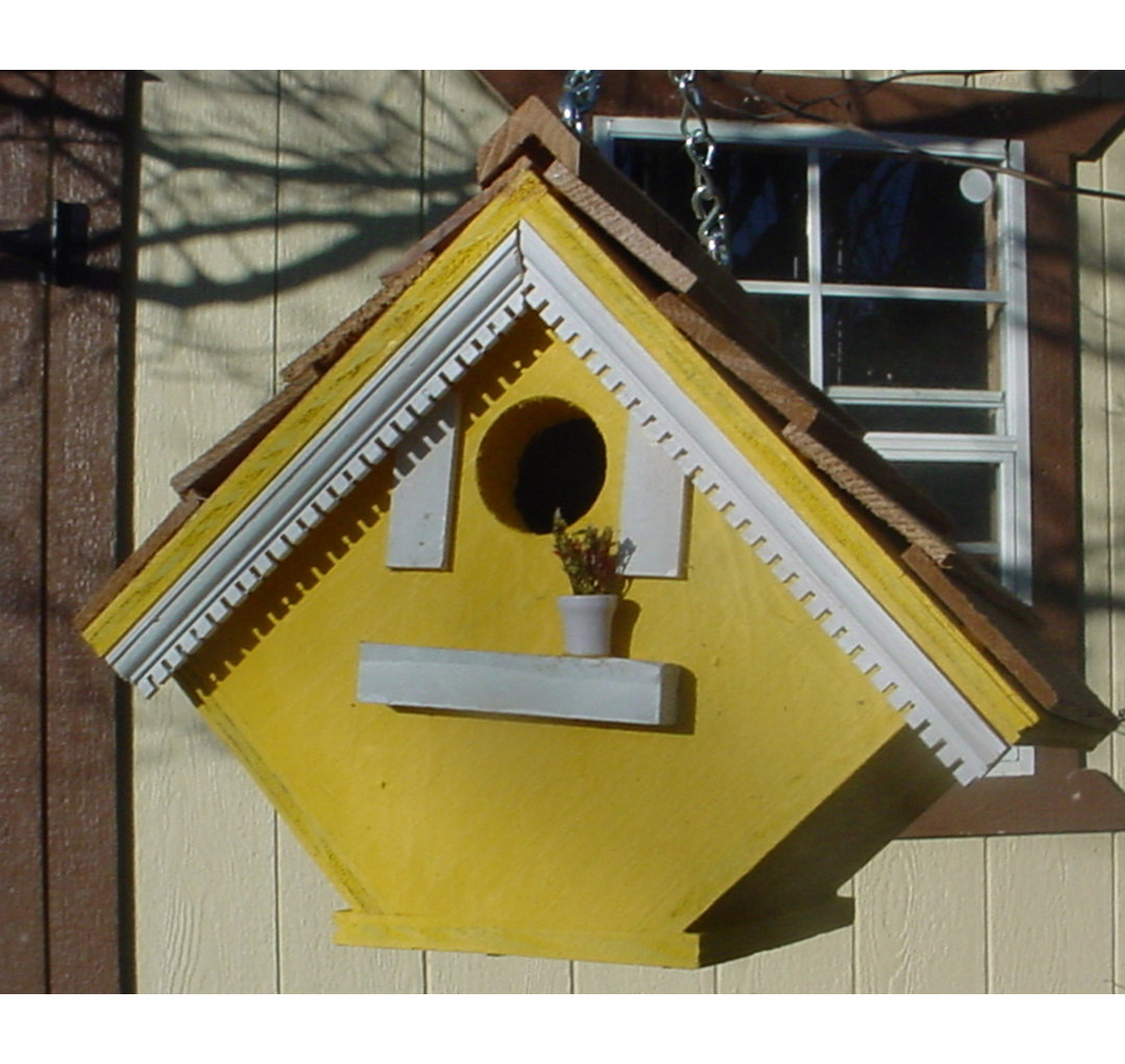 Arrighetto 7'' H x 8'' W x 7'' D Hanging Birdhouse Ophelia & Co. 