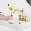 2-handle Bathroom Faucet with Drain Assembly-69262697