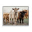 «Baby Calves On Farm» par Dakota Diener-93843409-93853957
