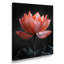 Verre rose rose gris sérénité Lotus III - décoration murale Lotus-2072116204-2072116206