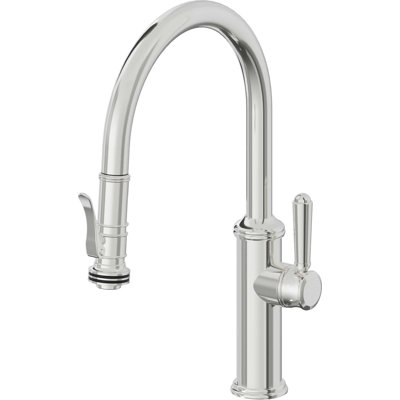 Davoli Kitchen Faucet