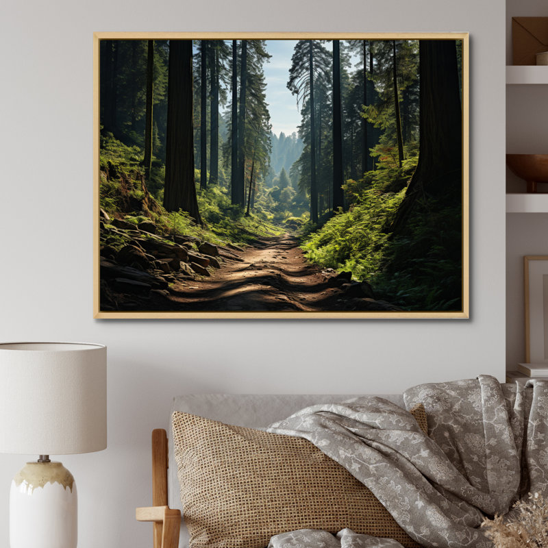 Forêt, séquoia, parc national III - paysages, art mural, salon, H 34 po x l 44 po, Cadre naturel flottant