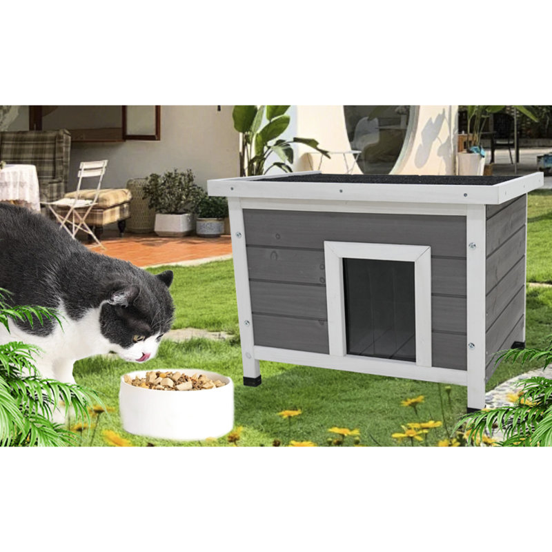 FF-911419957116 Small Animal