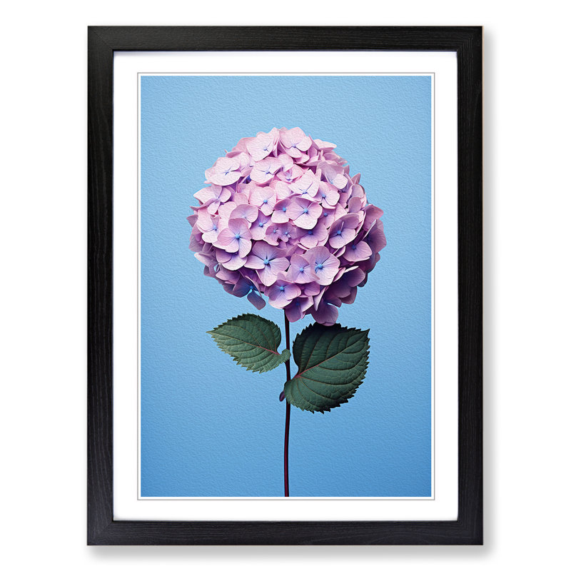 Hydrangea Minimalism No.2 - Framed Print, Black Framed, 34cm H x 25cm W x 2cm D