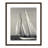Amaryl Fair Wind by Danita Delimont - Picture Frame Photograph Print-59881932-59881938