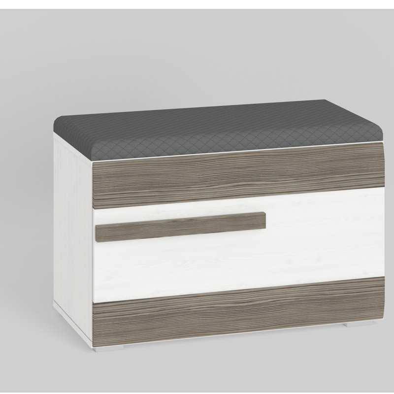 Azara 4 Pair Shoe Storage Cabinet