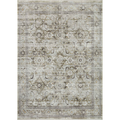 Bonney Oriental Indoor Rug