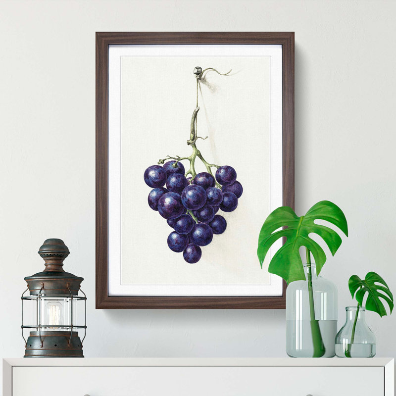 Bunch of Grapes by Jean Bernard - Picture Frame Art Print, 48cm H x 36cm W x 2cm D, Walnut Framed