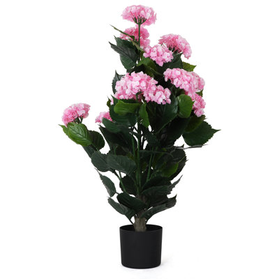 Potted Hydrangea - Small