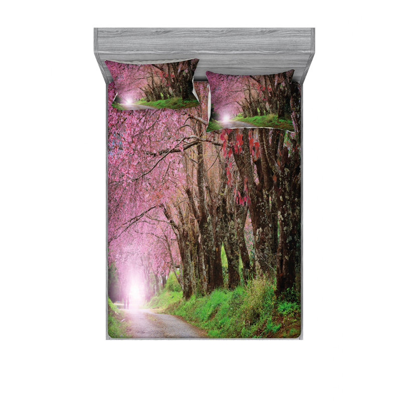Ensemble de draps à ressort National Park, Ensemble de drap pour grand lit avec drap-housse