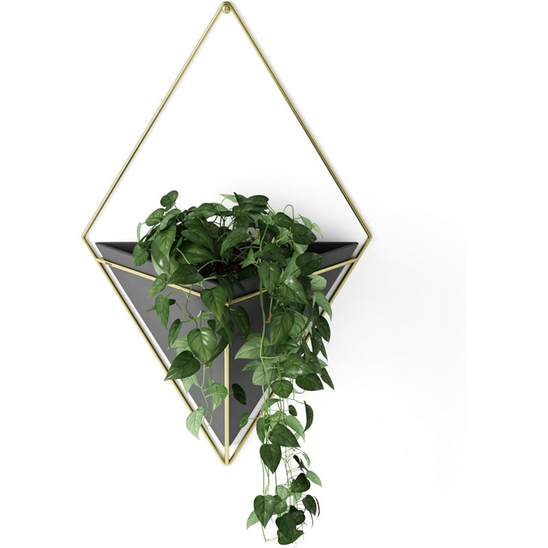 Trigg Hanging Planter Vase Wall Decor, Pot And Container For Succulents, Cactus, Faux Plants, And More, Large, Black/Brass, 1