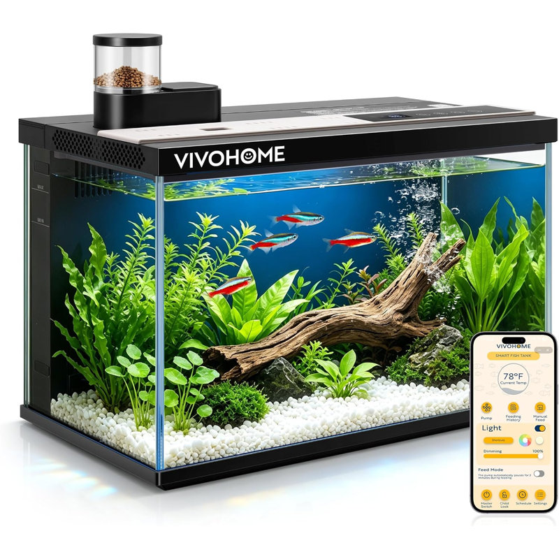 Réservoir de poisson intelligent de 5 gallons avec contrôle APP, alimentation automatique, filtre et pompe pour ordinateur de bureau