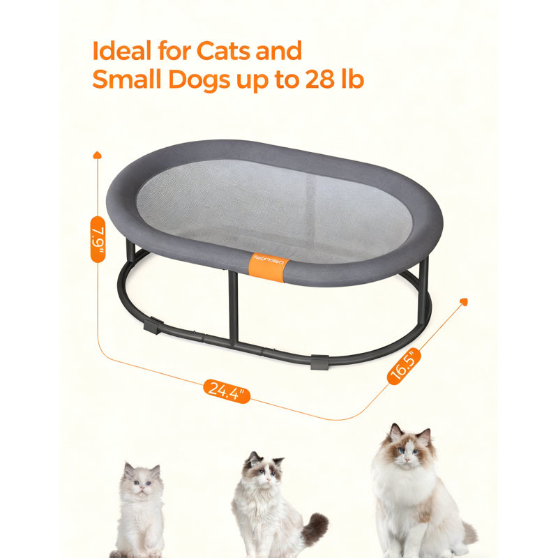 Lit pour animal de compagnie, lit pour chat surélevé pour grands chats, lit pour chien pour petits chiens, avec filet amovible lavable, pour animaux de compagnie jusqu'à 28 lb, ovale
