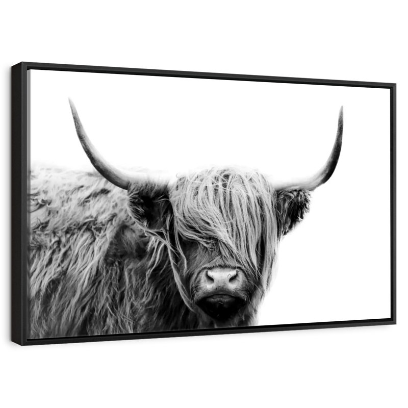 BW Highland Cow, 21" H x 31" W