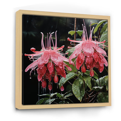 Pink Petal Fushia Coccinea Flowers I - Fuschia Wall Art