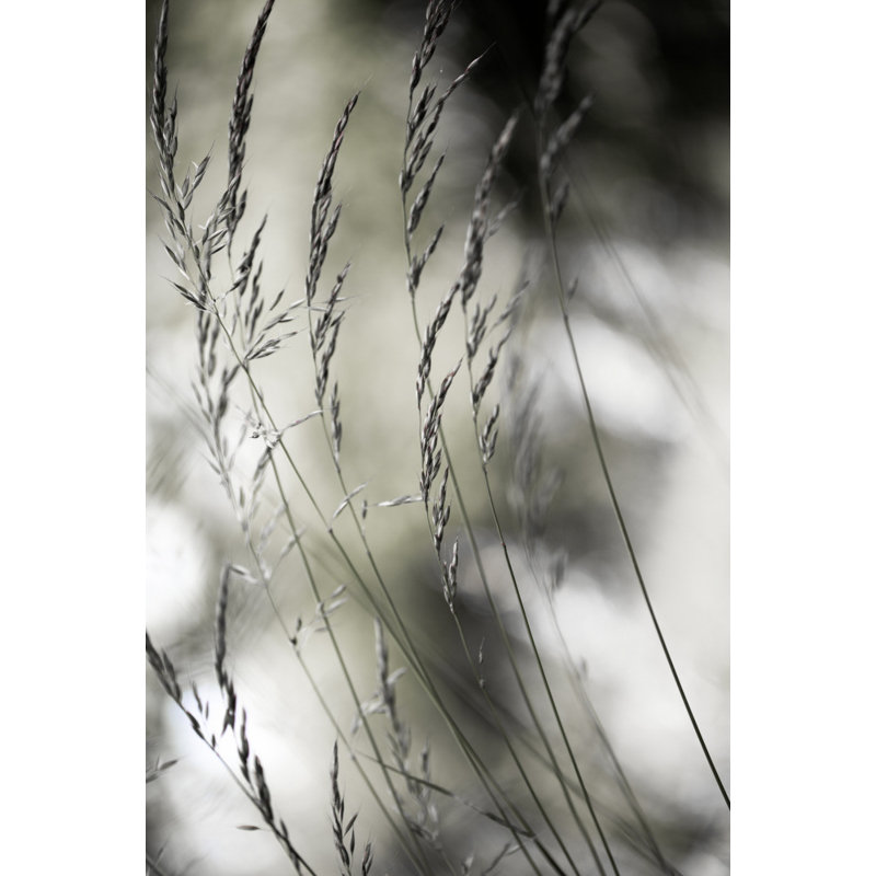 Wrapped Canvas Print, 76.2 cm H x 50.8 cm W