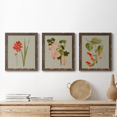 " Botanical Array IV " 2 - Pieces Painting Print