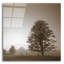 «Stillness» par PhotoINC Studio-542126547