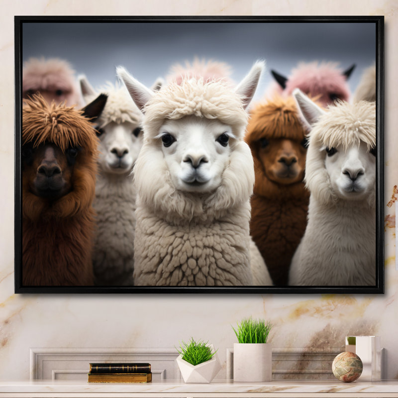 Alpacas Graceful Fibers - Imprimé, H 34 po x l 44 po x P 1,5 po, Cadre flottant noir