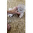 Real Cowhide Hand-Made Coasters-700407983