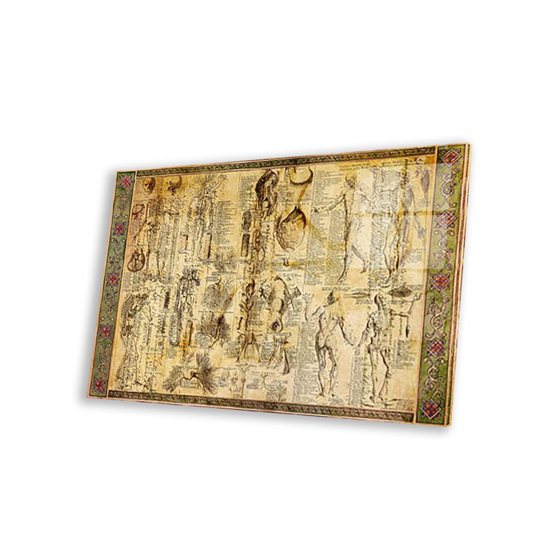 " Anatomical Chart ", 16" H x 24" W x 0.25" D