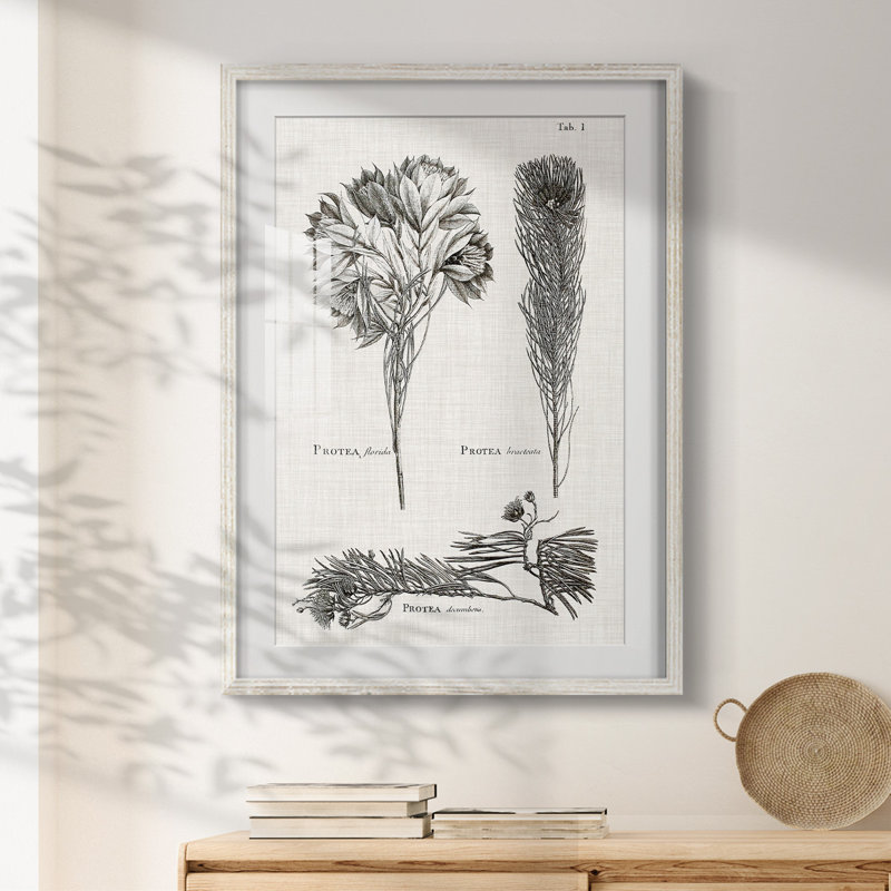 Rachele - Toile tendue avec châssis, H 28,5 po x l 20,5 po, Blanc