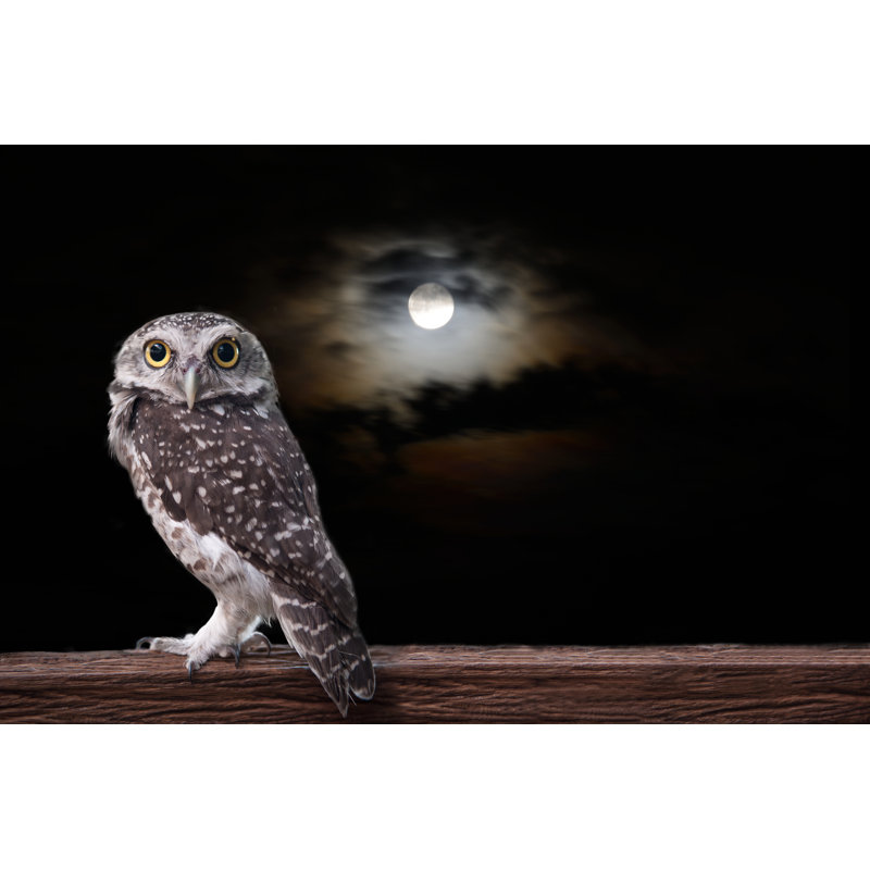 Owl And Full Moon by Pandpstock001 - Wrapped Canvas Print, 51cm H x 76cm W