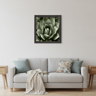 Green Succulent II Brown Framed Print Wall Art