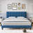 Nurdane Upholstered Platform Bed-1052554228-1052554239