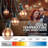 Agnon Indoor / Outdoor 50 - Bulb 50 in. Plug-in LED Standard String Light