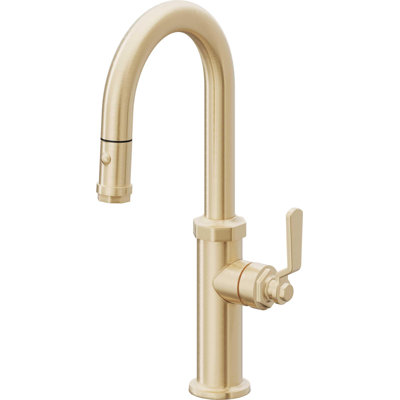 Pull-Down Prep/Bar Faucet With Button Sprayer