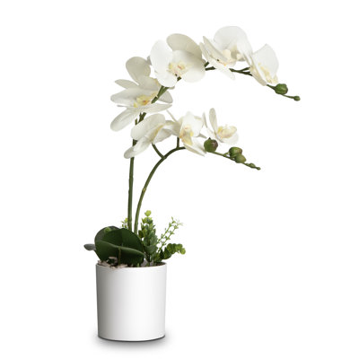 Arrangement de soie orchidée en pot