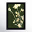 Pure Nature by Design Fabrikken-1889382715-1889382714