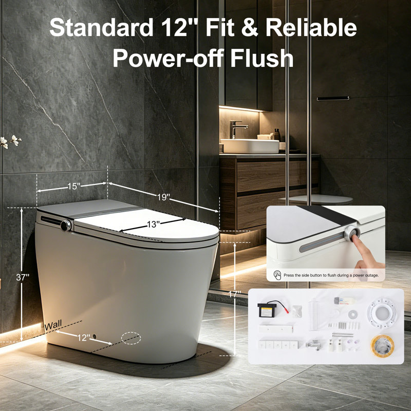 intelligent toilet