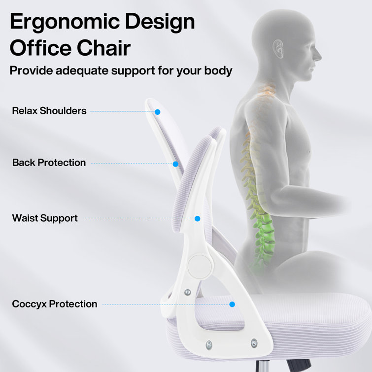 Ergonomic Office Desk Chair, Mesh Computer Chair with Padded Flip-up Armrests and Adjustable Lumbar Support, Executive Chairs for Study, Home Office
