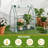 36 X 18 X 33 In. White PE Greenhouse With PE Bottom Mat-124532632