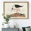 «Long Legged Avocet», reproduction d'art sur toile encadrée-2063429955-2063429954