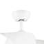Cairo 127cm Ceiling Fan with LED Lights