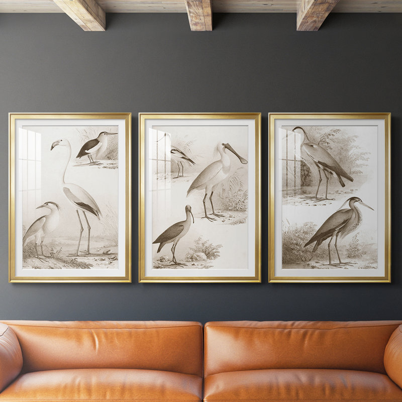 Oiseaux d'eau sépia I - reproduction sur mesure encadrée de qualité supérieure - 3 pièces, H 21 po x l 30 po, Doré