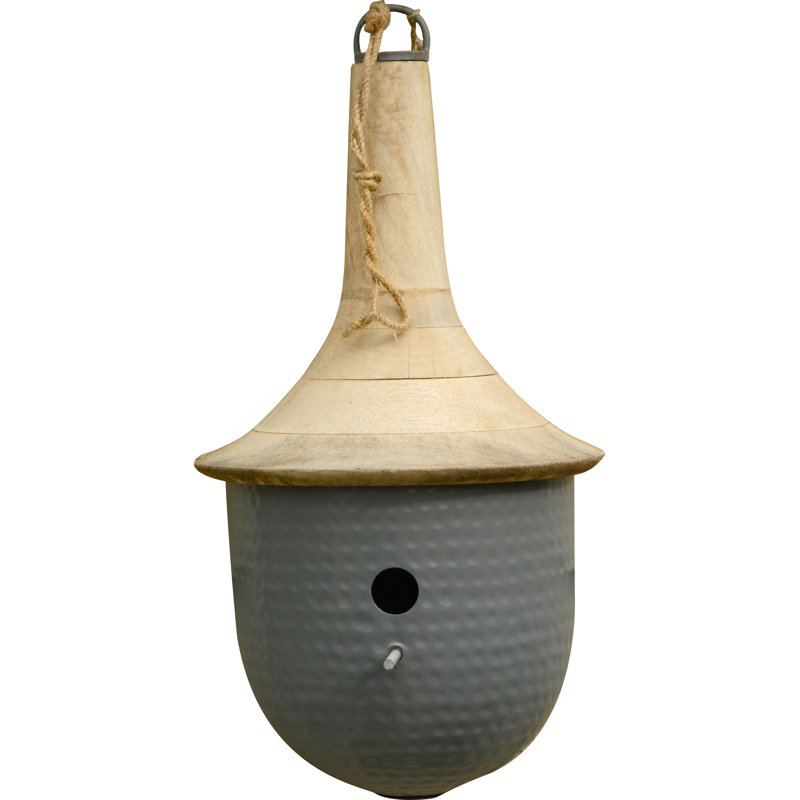 Novelty Mounted Bird House