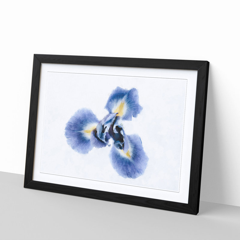 An Iris Flower In Blue - Picture Frame Painting Print, Black, 62cm H x 87cm W x 2cm D