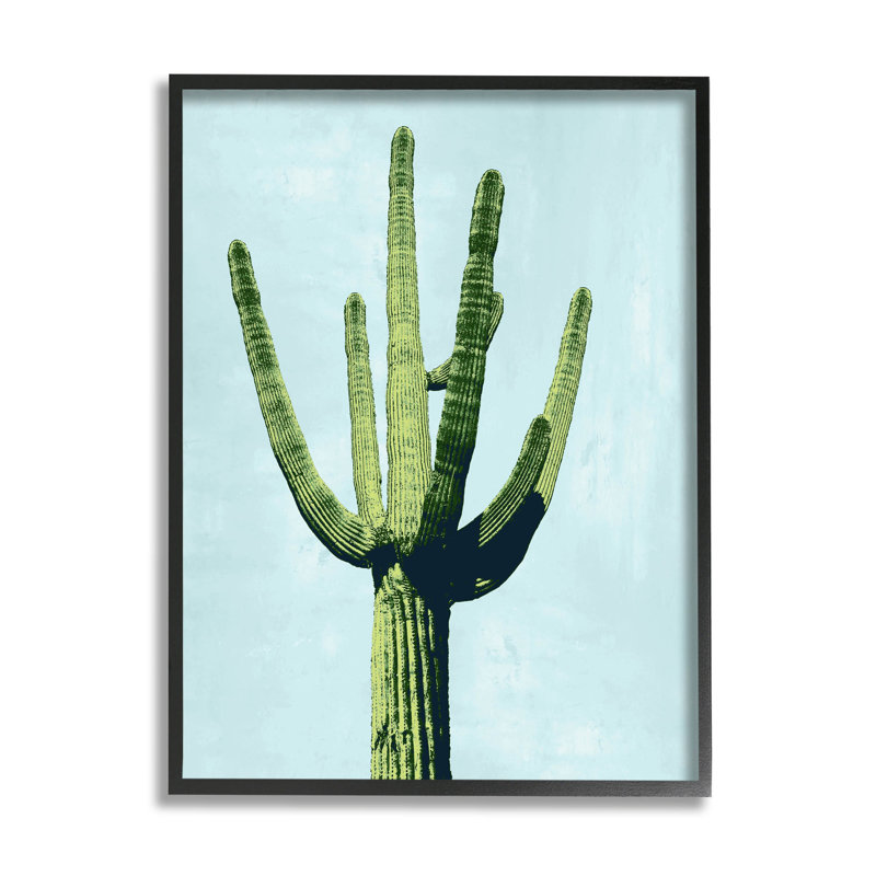Cactus imitant le ciel turquoise par Mia Jensen, Giclée encadrée noir minuit, H 14 po x l 11 po x P 1,5 po