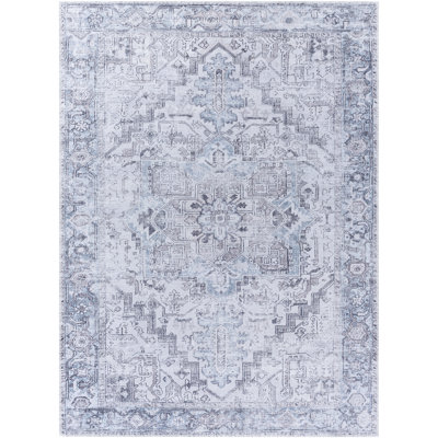 Hewet Oriental Indoor Rug