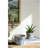 Ceramic Planters with Floral Motif - Set of 2 - Blue /White