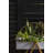 Karlee Plant Trough