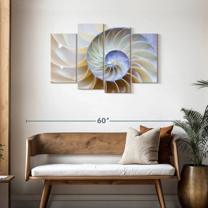 Empty Nautilus Shell, 27" H x 43" W