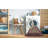 Moroccan Indoor Rug-1228509398
