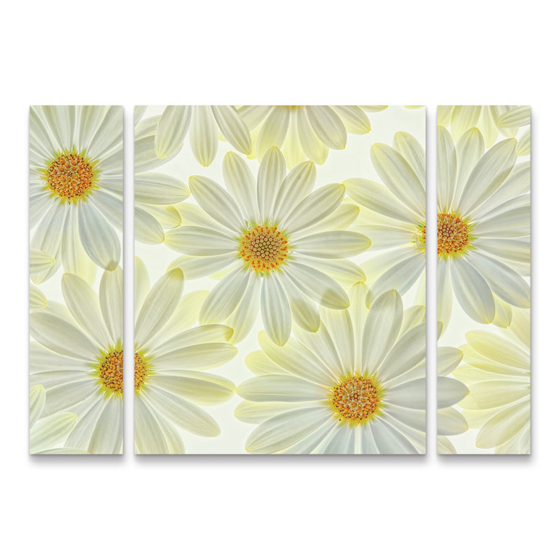 «Daisy Flowers», ensemble de 3 panneaux Cora Niele, H 30 po x l 41 po x P 2 po